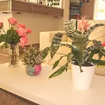 Amalfi Hotel Rimini